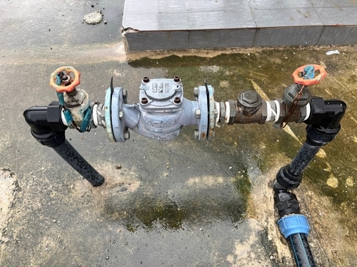 Backflow device